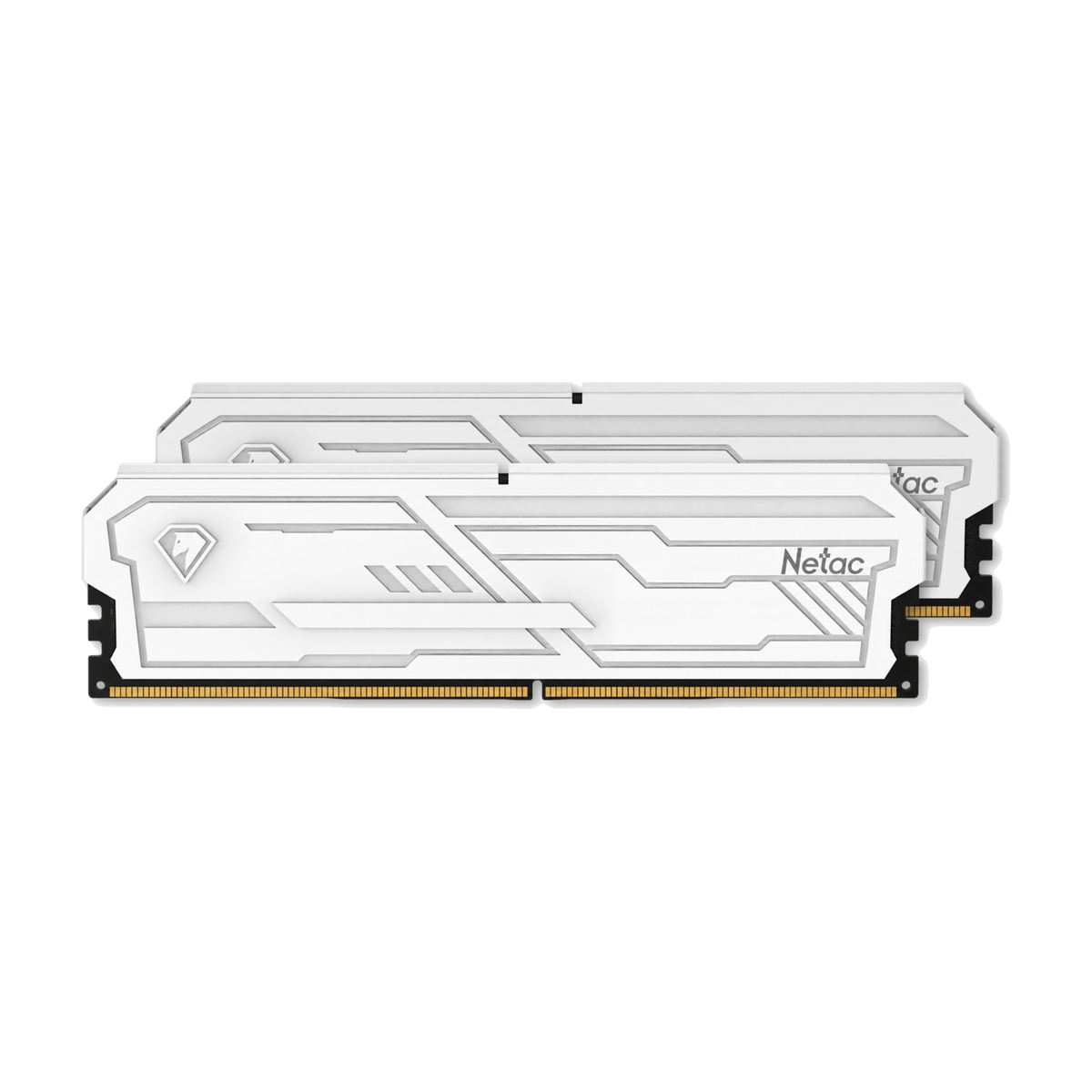 Netac 32GB (2x16GB) DDR5-6400 CL32 Desktop Memory White