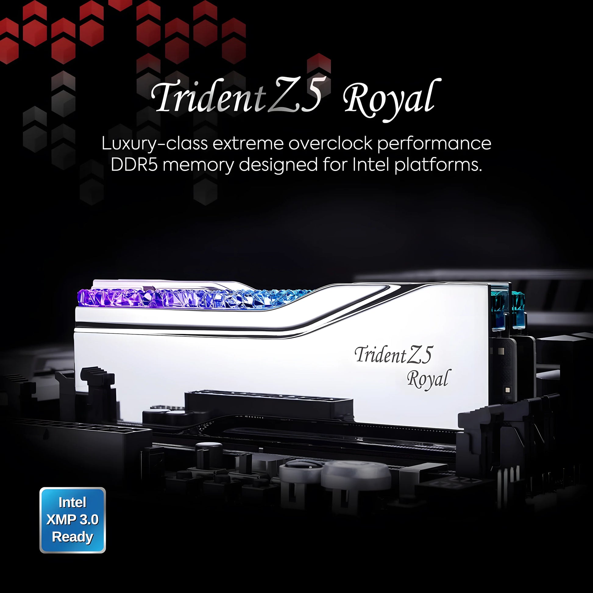 G.Skill Trident Z5 Royal RGB 64GB DDR5-6400 Silver - Side View